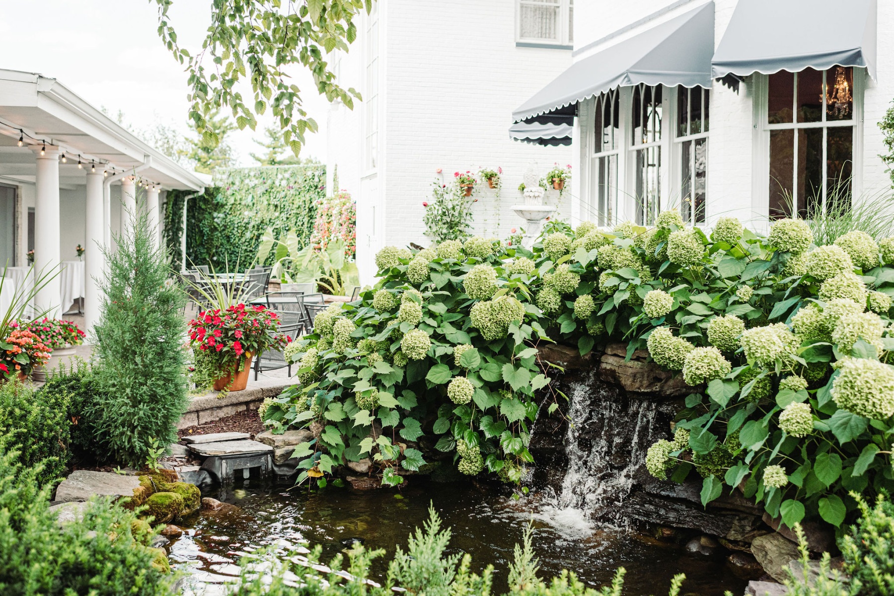 The garden pond and planting on the estate